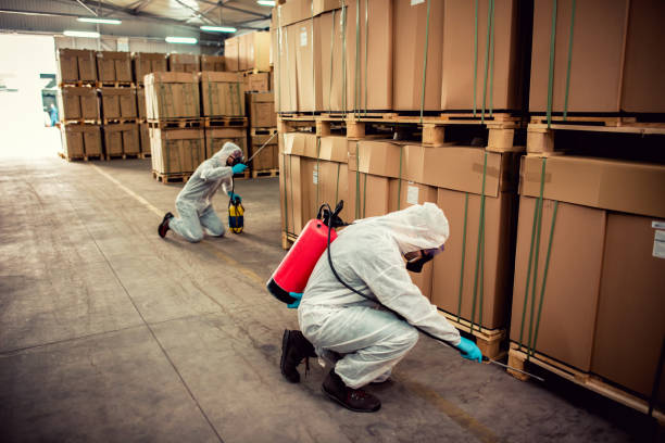 Best Exterminator Services  in Waverly, IA