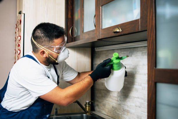 Best Pest Removal Services  in Waverly, IA