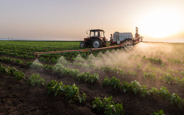 Best Local Pest Control Services  in Waverly, IA