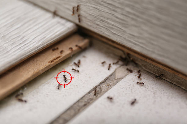 Best Commercial Pest Control Services  in Waverly, IA