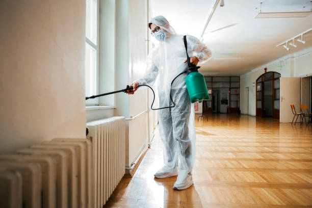 Best Termite Control Services  in Waverly, IA