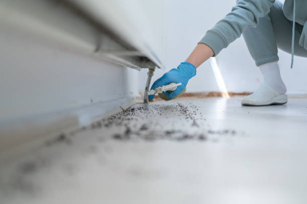 Best Best Pest Control Companies  in Waverly, IA