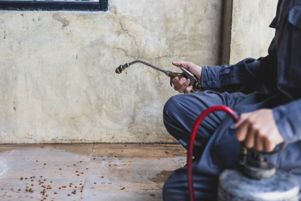 Best Pest Inspection Near Me  in Waverly, IA