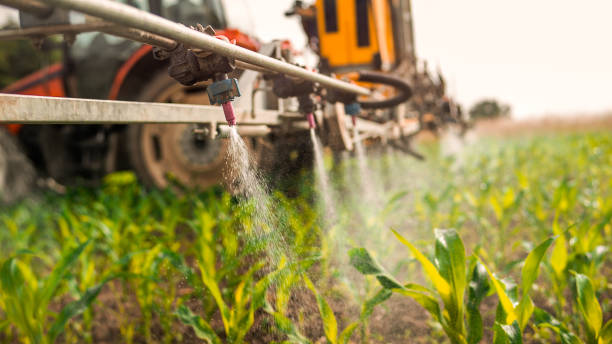 Best Best Pest Control Companies  in Waverly, IA