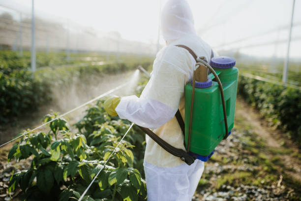 Best Insect Control  in Waverly, IA